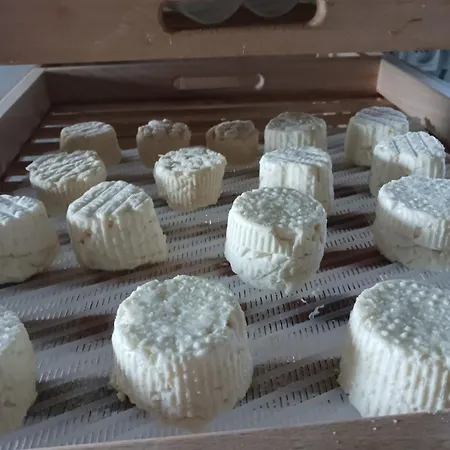 La Ferme Stanczak *